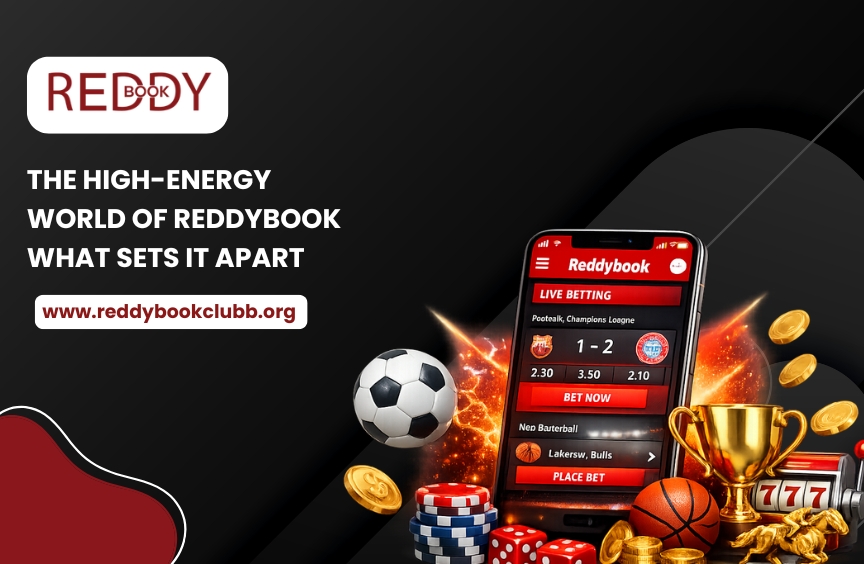 The High-Energy World of Reddybook: What Sets It Apart in Today’s Digital Entertainment Space