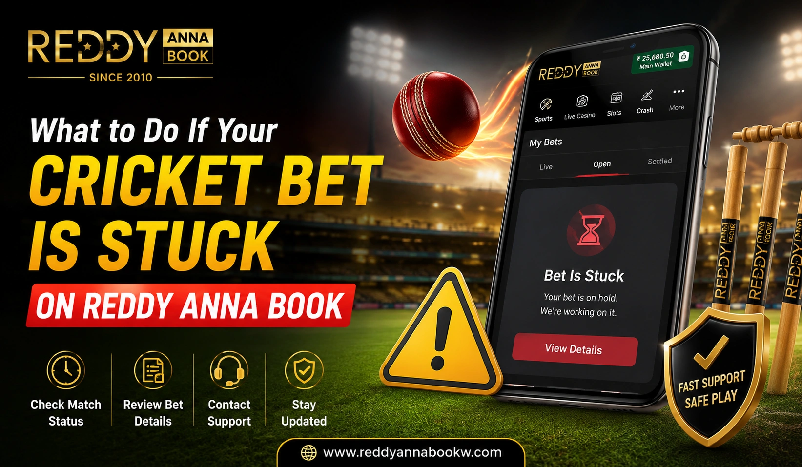 What to Do If Your Cricket Bet Is Stuck on Reddy Anna Book